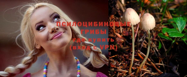 apvp Балахна